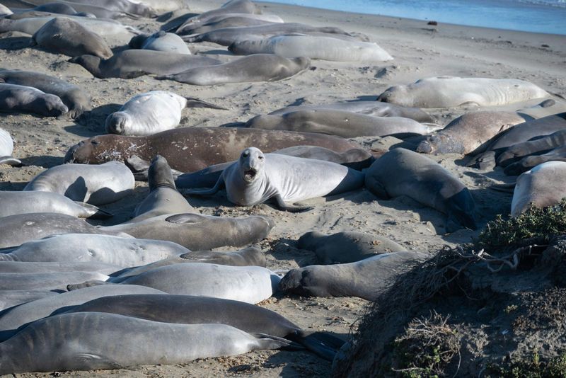 San Simeon, California
