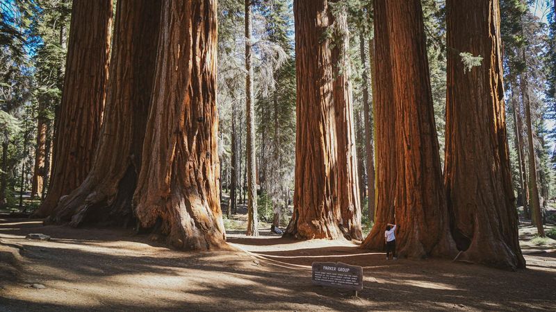 Yosemite to Bishop