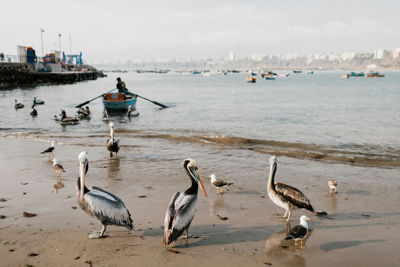 Lima, Peru